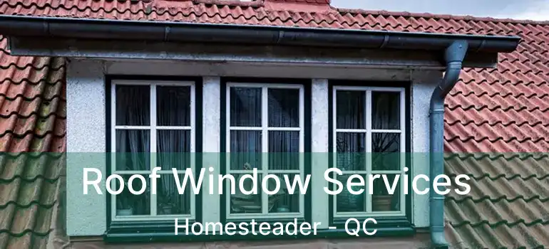  Roof Window Services Homesteader - QC