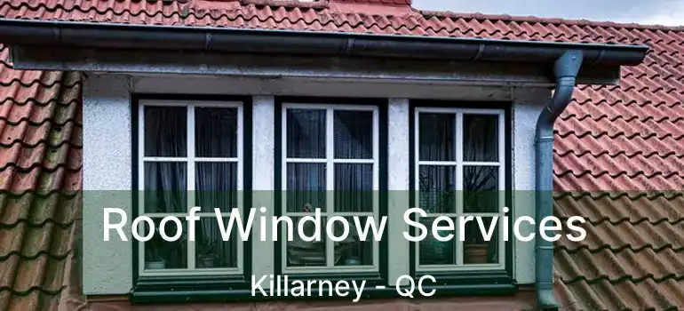  Roof Window Services Killarney - QC
