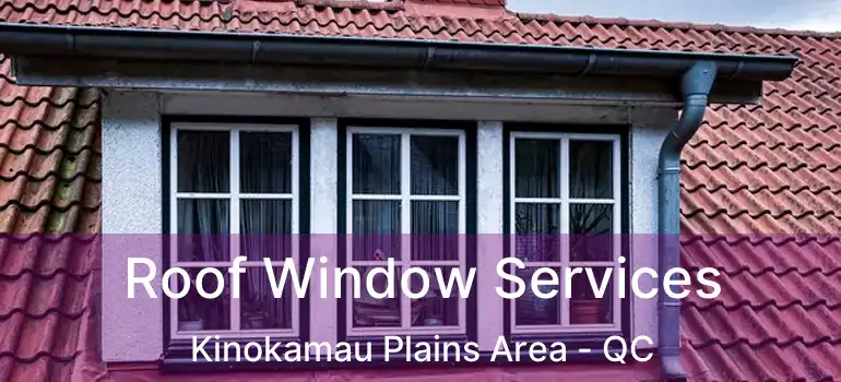 Roof Window Services Kinokamau Plains Area - QC