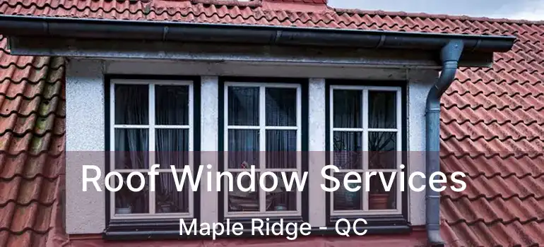  Roof Window Services Maple Ridge - QC