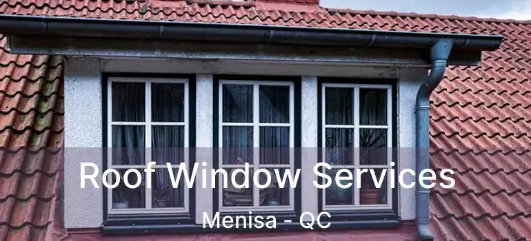  Roof Window Services Menisa - QC