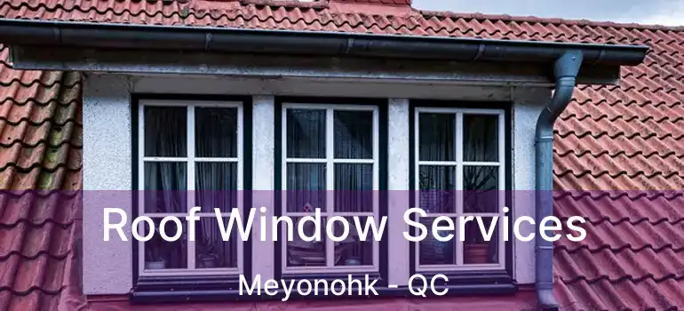  Roof Window Services Meyonohk - QC