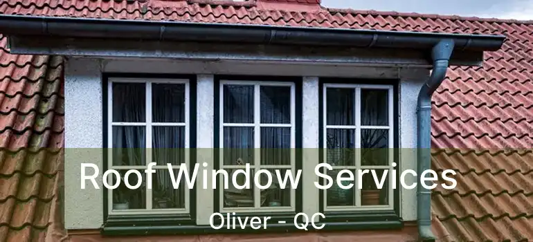  Roof Window Services Oliver - QC