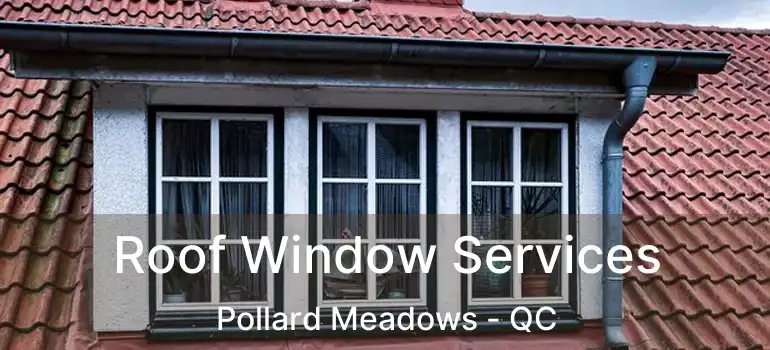  Roof Window Services Pollard Meadows - QC