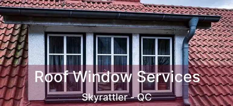  Roof Window Services Skyrattler - QC