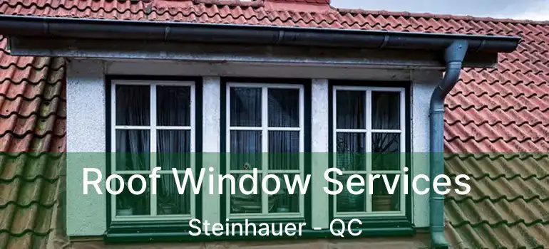  Roof Window Services Steinhauer - QC