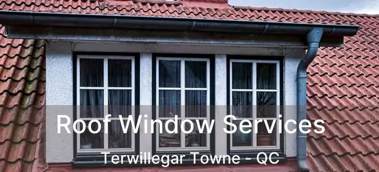  Roof Window Services Terwillegar Towne - QC