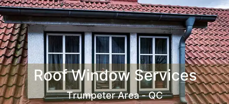  Roof Window Services Trumpeter Area - QC