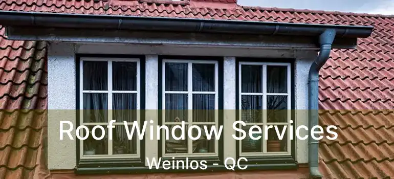  Roof Window Services Weinlos - QC