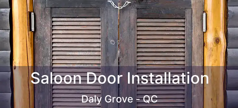  Saloon Door Installation Daly Grove - QC