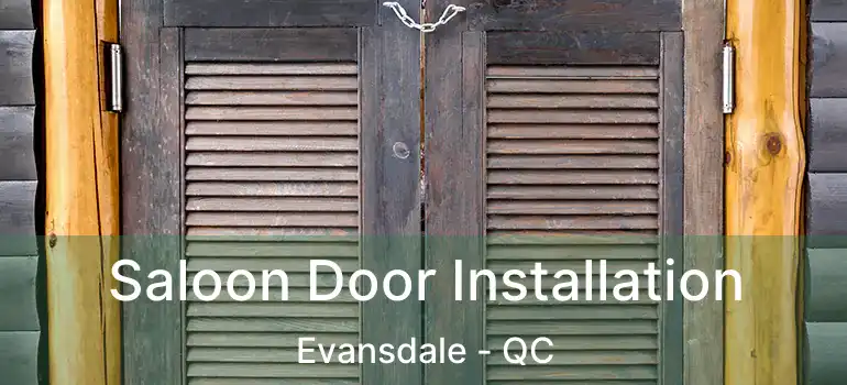  Saloon Door Installation Evansdale - QC