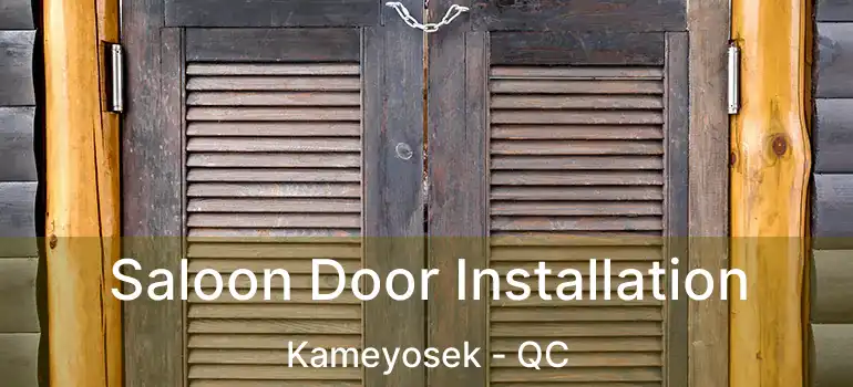  Saloon Door Installation Kameyosek - QC