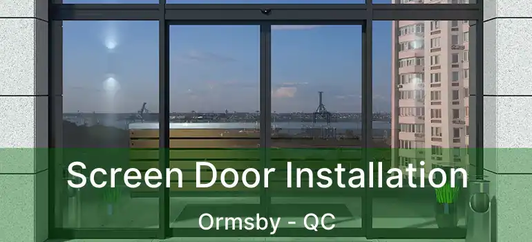  Screen Door Installation Ormsby - QC