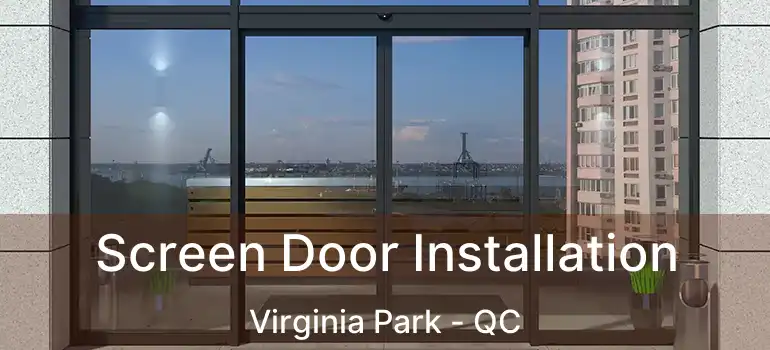  Screen Door Installation Virginia Park - QC