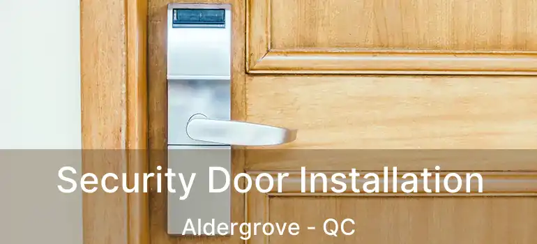  Security Door Installation Aldergrove - QC