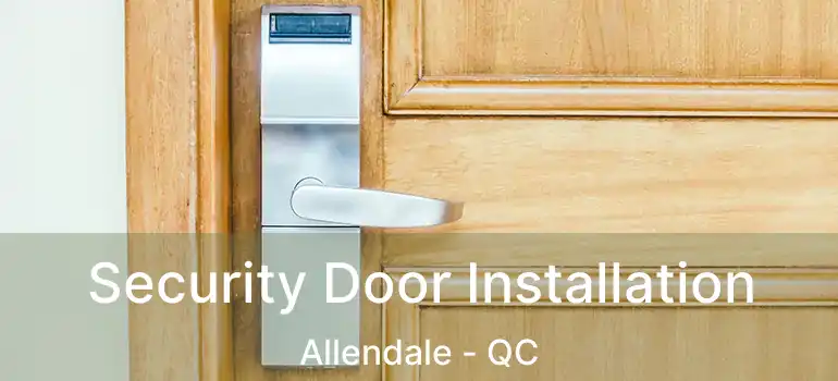 Security Door Installation Allendale - QC