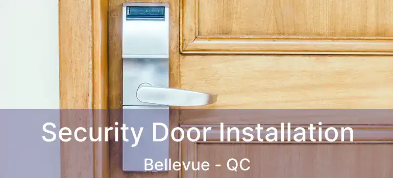  Security Door Installation Bellevue - QC