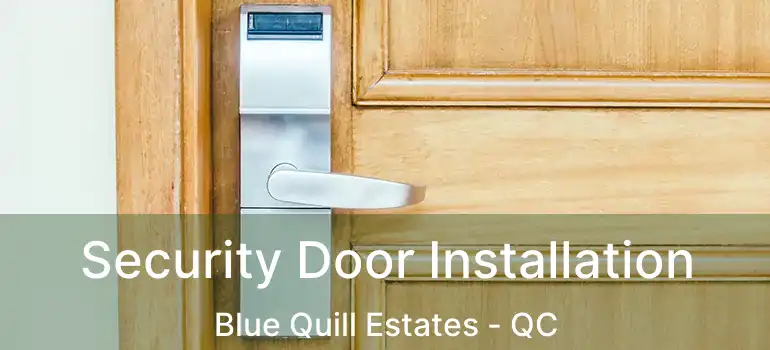  Security Door Installation Blue Quill Estates - QC