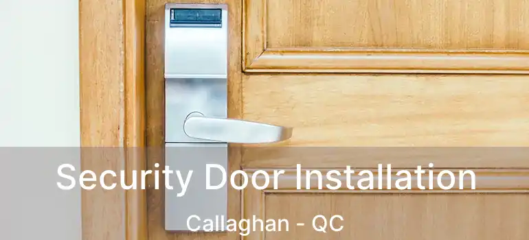  Security Door Installation Callaghan - QC