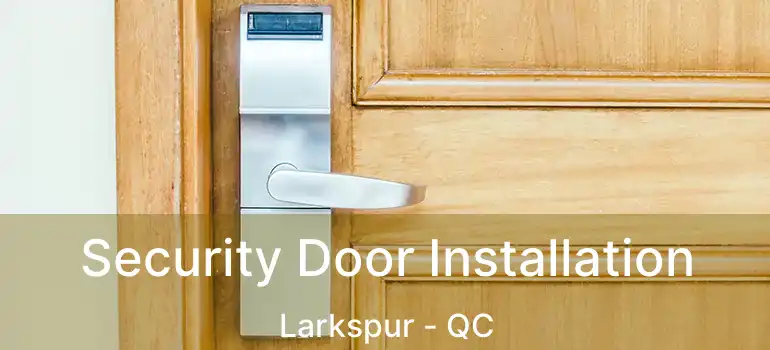  Security Door Installation Larkspur - QC