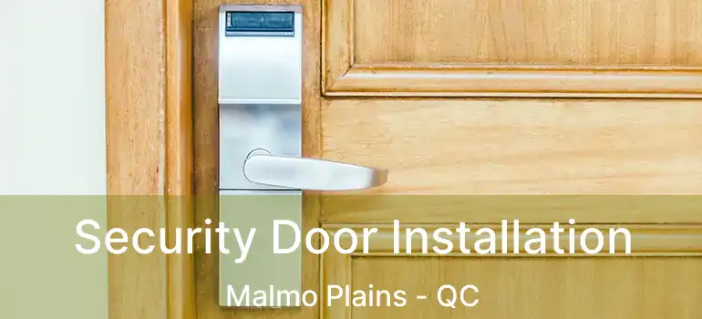  Security Door Installation Malmo Plains - QC