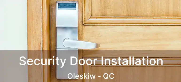  Security Door Installation Oleskiw - QC