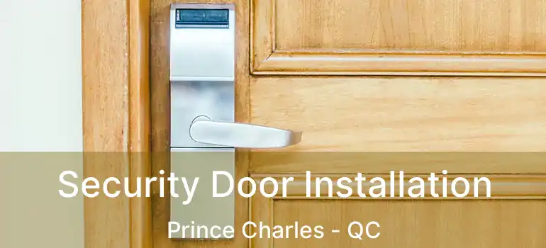  Security Door Installation Prince Charles - QC
