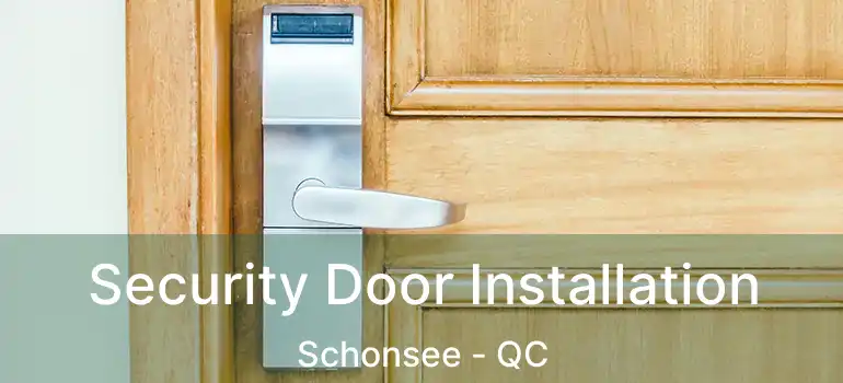 Security Door Installation Schonsee - QC