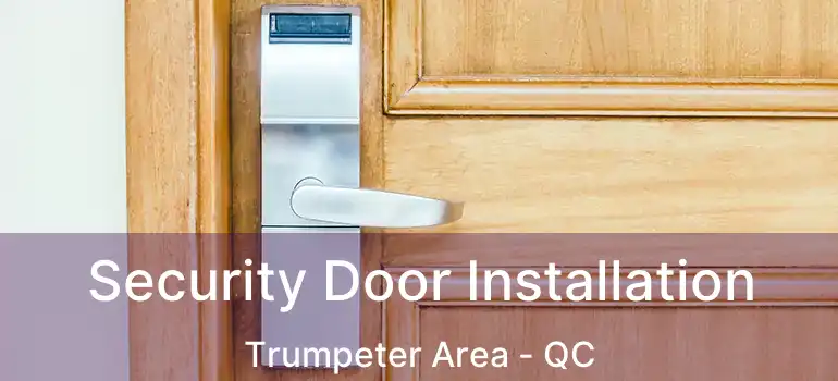  Security Door Installation Trumpeter Area - QC
