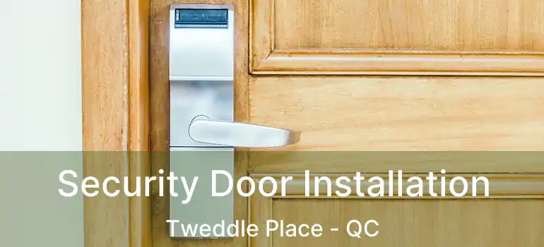 Security Door Installation Tweddle Place - QC