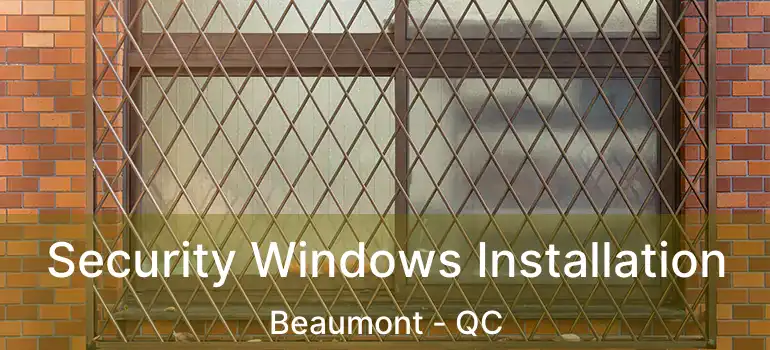  Security Windows Installation Beaumont - QC
