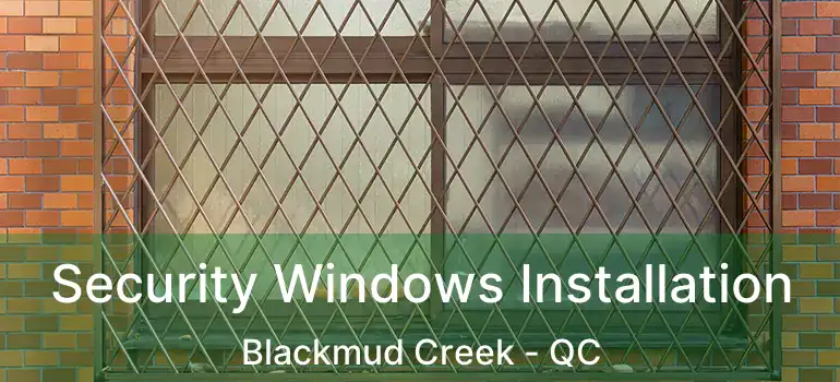  Security Windows Installation Blackmud Creek - QC
