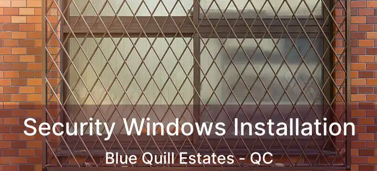  Security Windows Installation Blue Quill Estates - QC