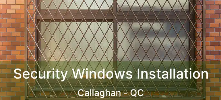  Security Windows Installation Callaghan - QC
