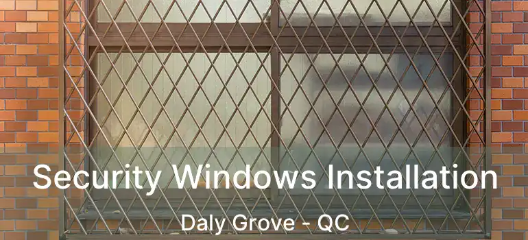  Security Windows Installation Daly Grove - QC