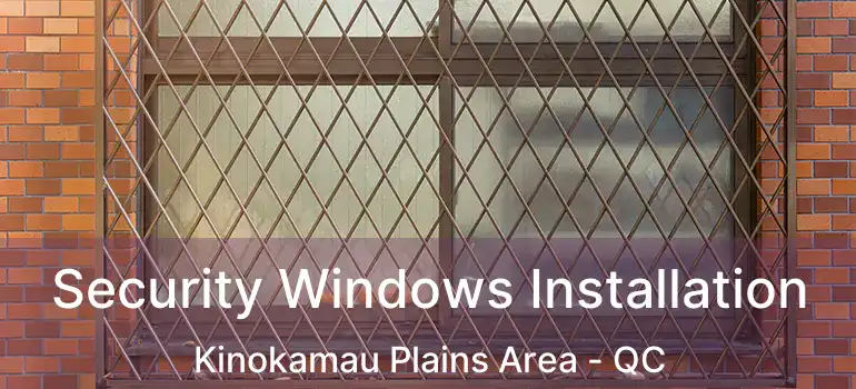  Security Windows Installation Kinokamau Plains Area - QC
