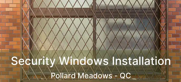  Security Windows Installation Pollard Meadows - QC
