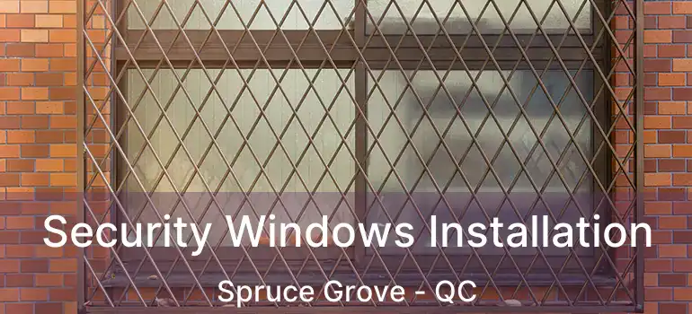  Security Windows Installation Spruce Grove - QC