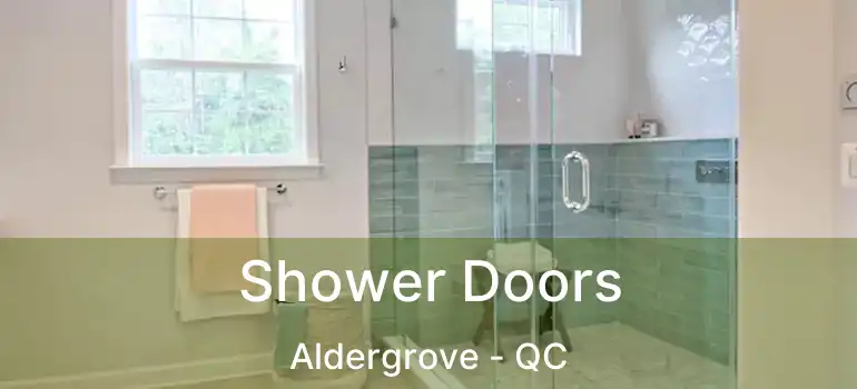  Shower Doors Aldergrove - QC