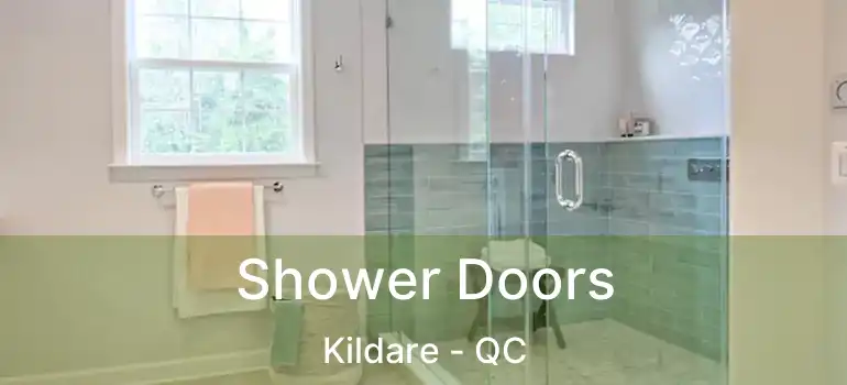  Shower Doors Kildare - QC