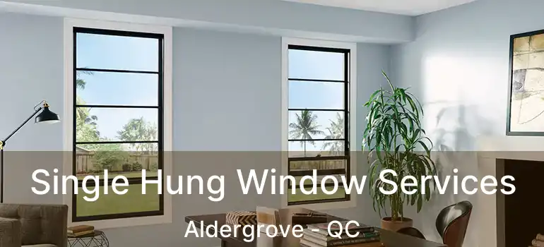  Single Hung Window Services Aldergrove - QC