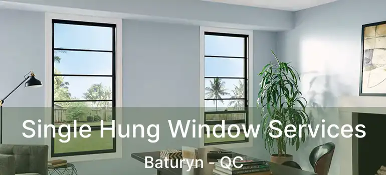  Single Hung Window Services Baturyn - QC