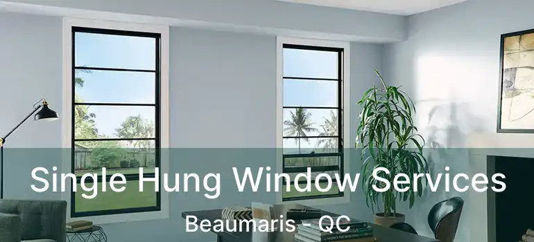  Single Hung Window Services Beaumaris - QC