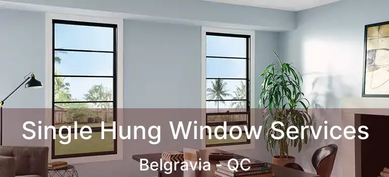  Single Hung Window Services Belgravia - QC