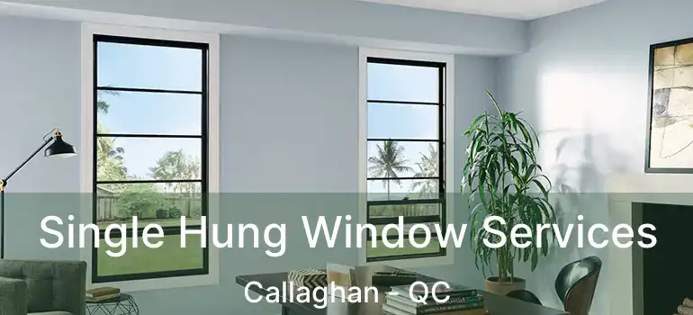  Single Hung Window Services Callaghan - QC