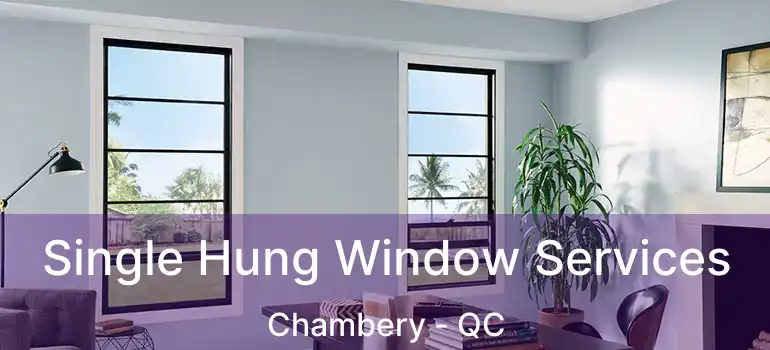  Single Hung Window Services Chambery - QC