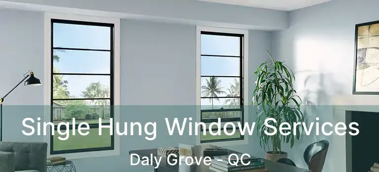  Single Hung Window Services Daly Grove - QC
