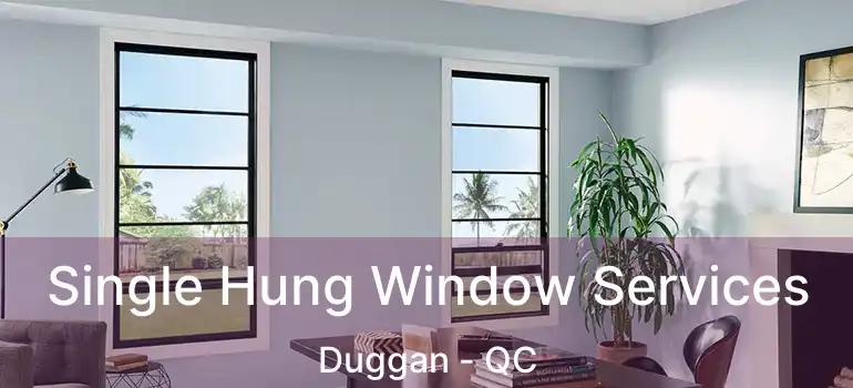 Single Hung Window Services Duggan - QC