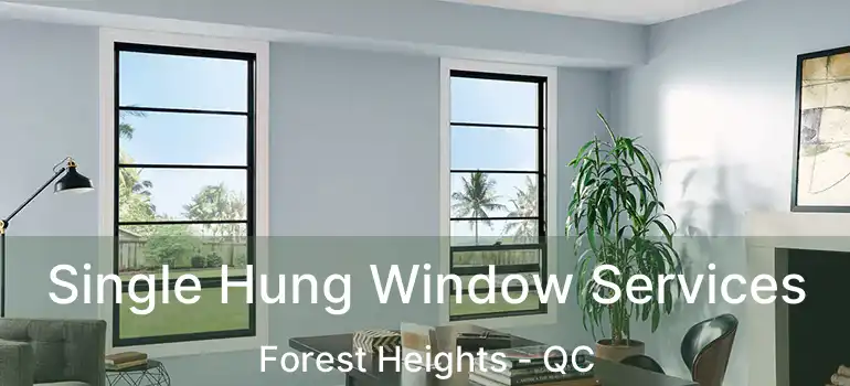  Single Hung Window Services Forest Heights - QC