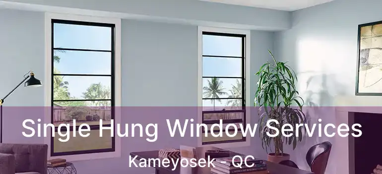  Single Hung Window Services Kameyosek - QC